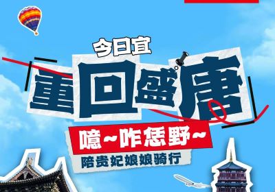 噫~起猛嘞，貴妃娘娘騎著臺鈴來洛陽撒歡了！
