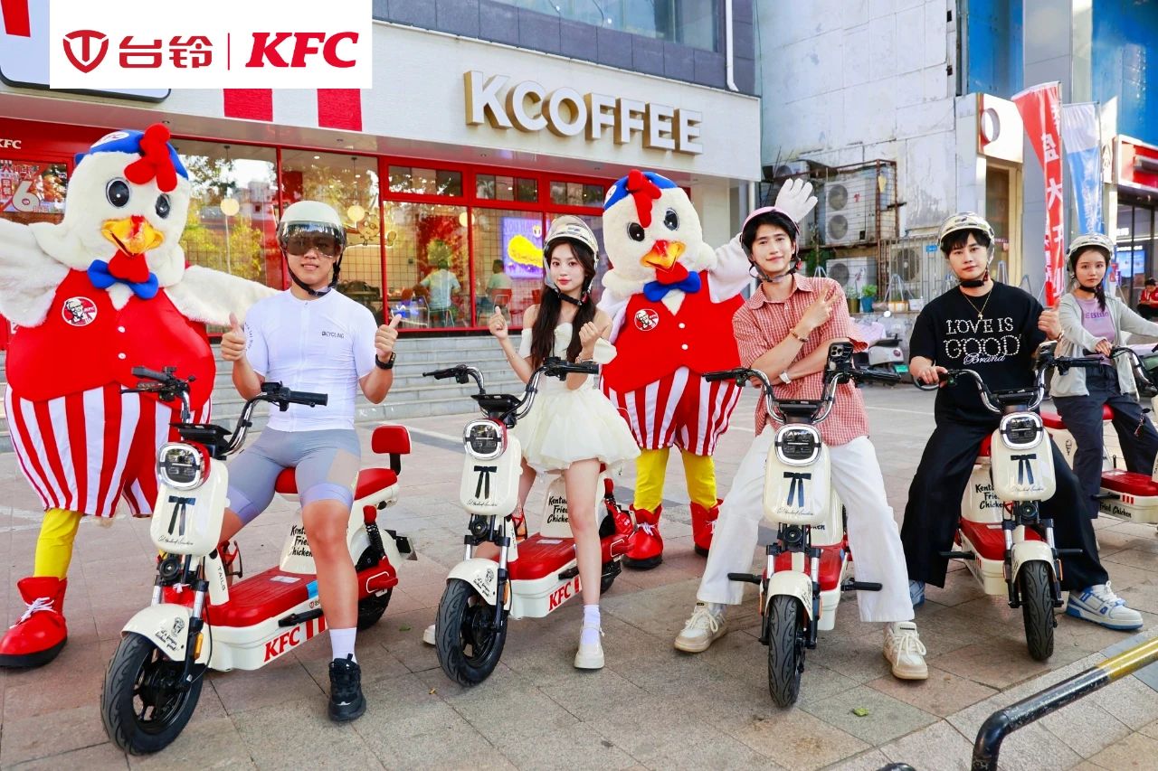 臺鈴長續(xù)航電動車