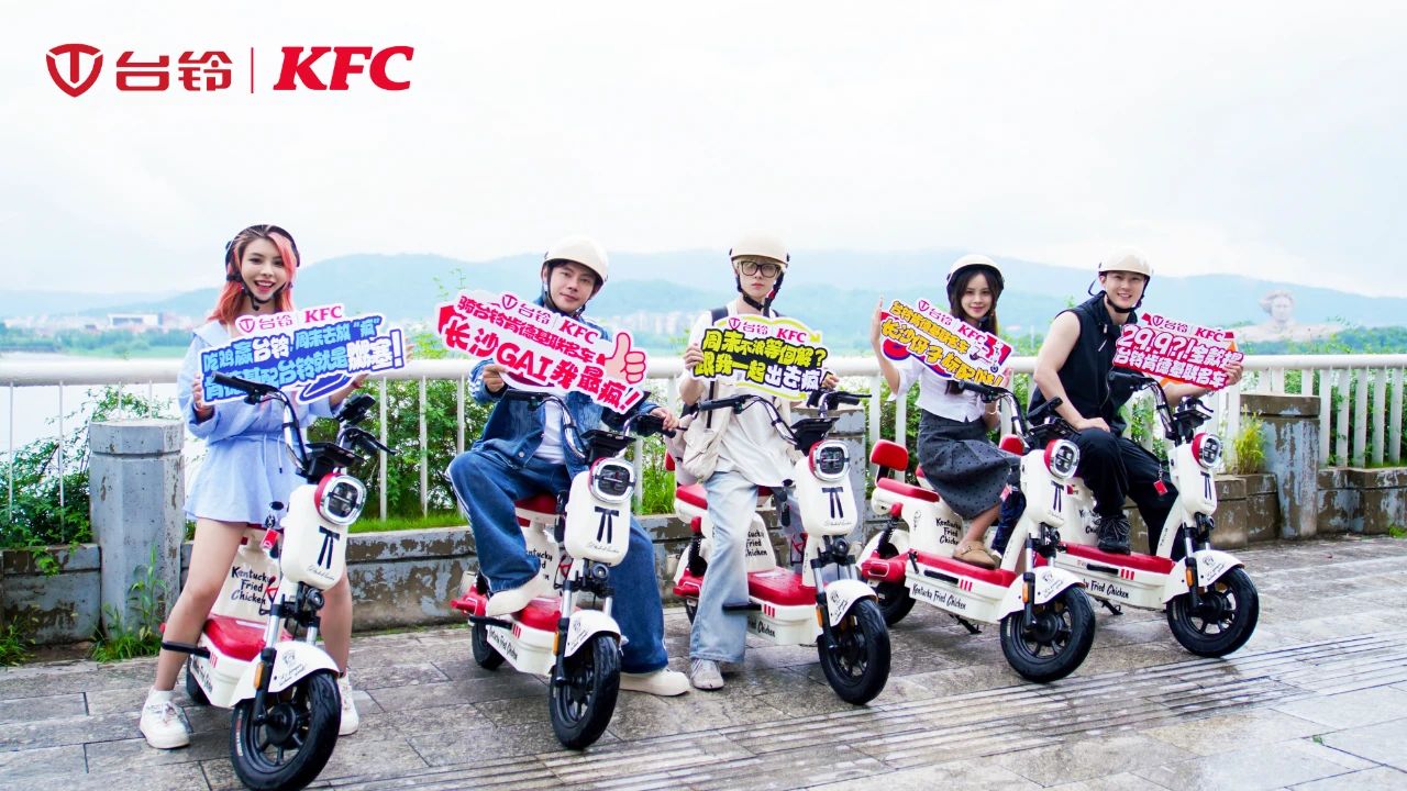 臺鈴長續(xù)航電動車