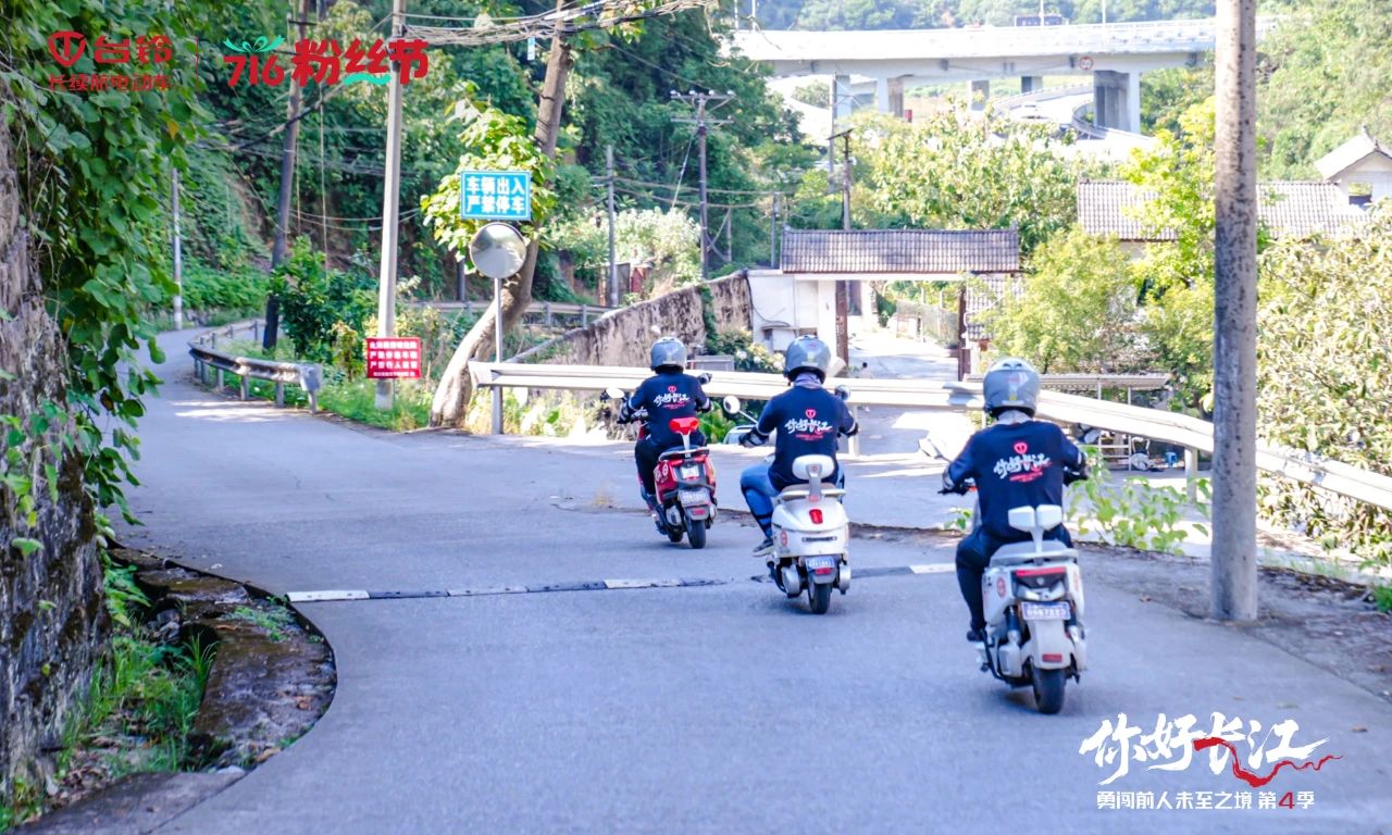 臺鈴6.jpg